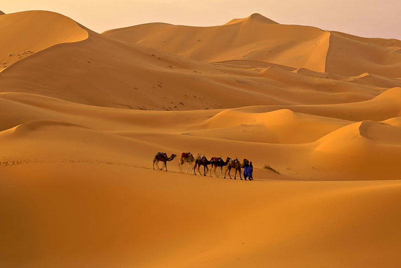 Lut desert