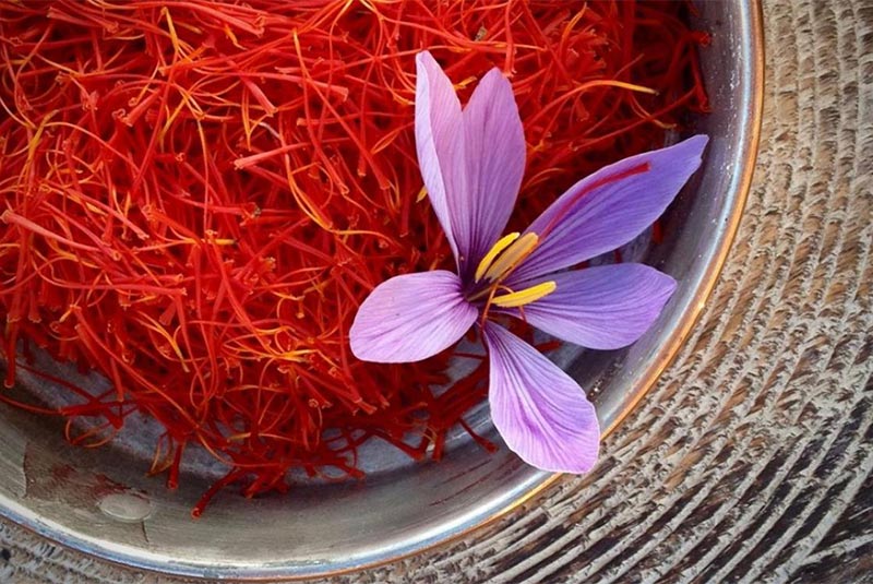 persian saffron
