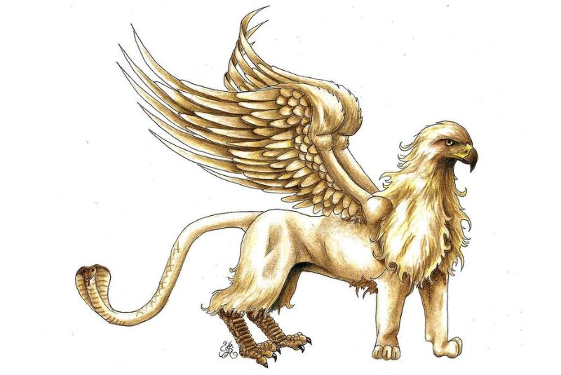 persian griffin