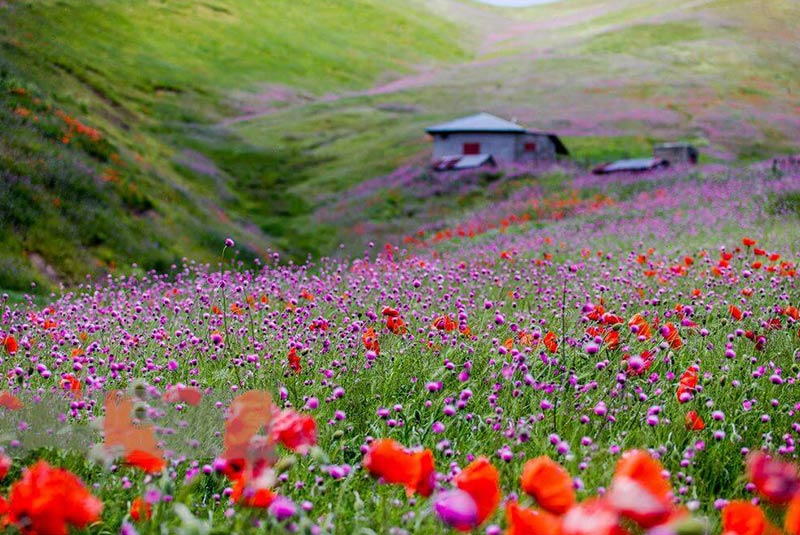 best time to visit iran spring