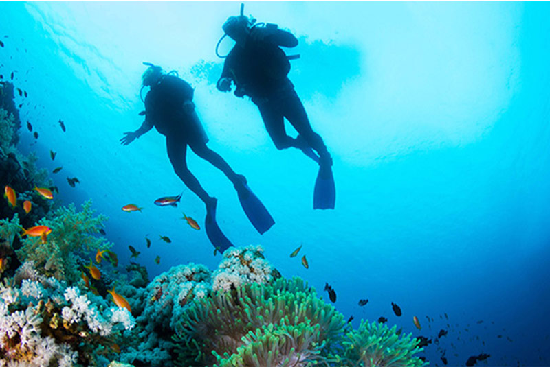 diving in persian gulf