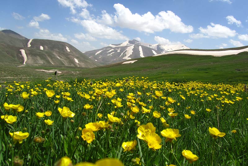 Sahand mountain Tabriz