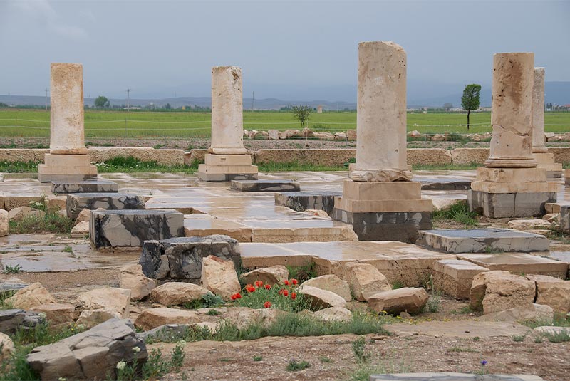 building of Pasargadae