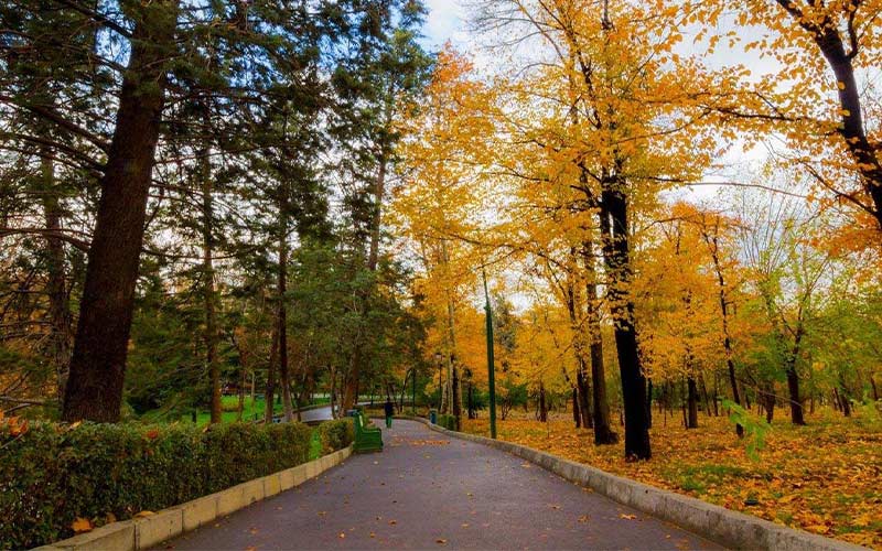 walking in Tehran