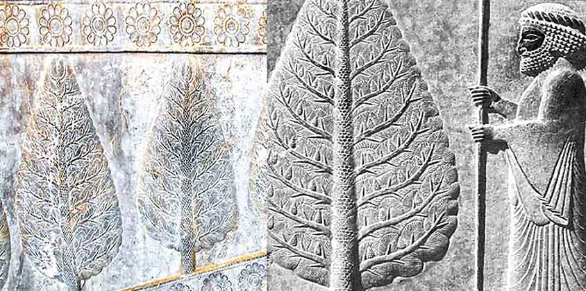 Persepolis Cypress