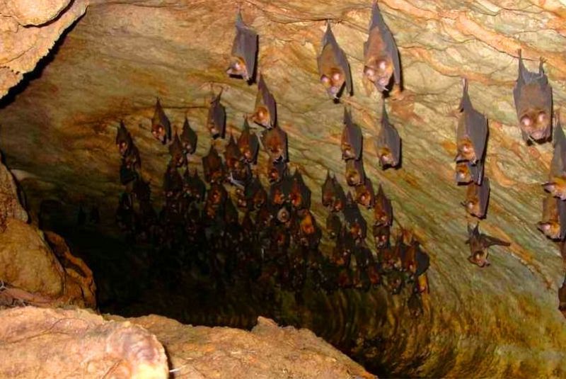 Khofash Cave