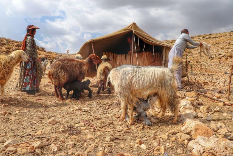 Iran Nomad Tour Eavar