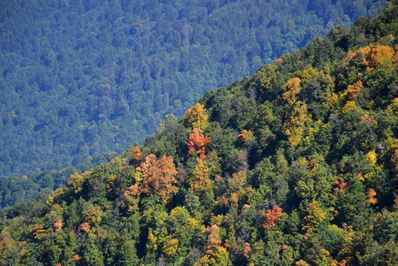 3. Opert Ridge in Iran