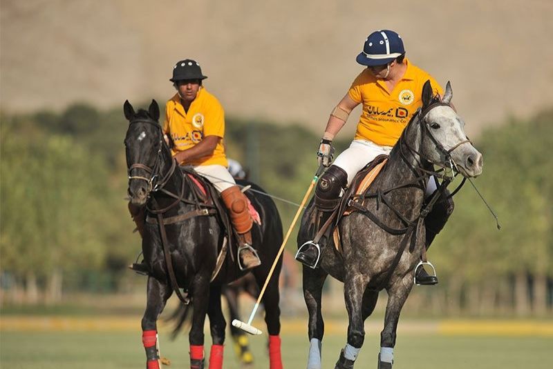 How to Play Polo