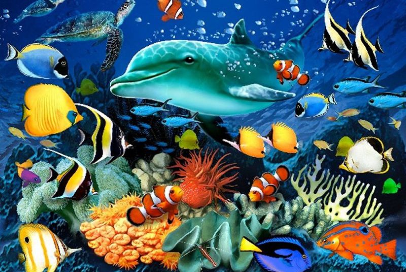 5. Diverse Marine Life in the Caspian Sea