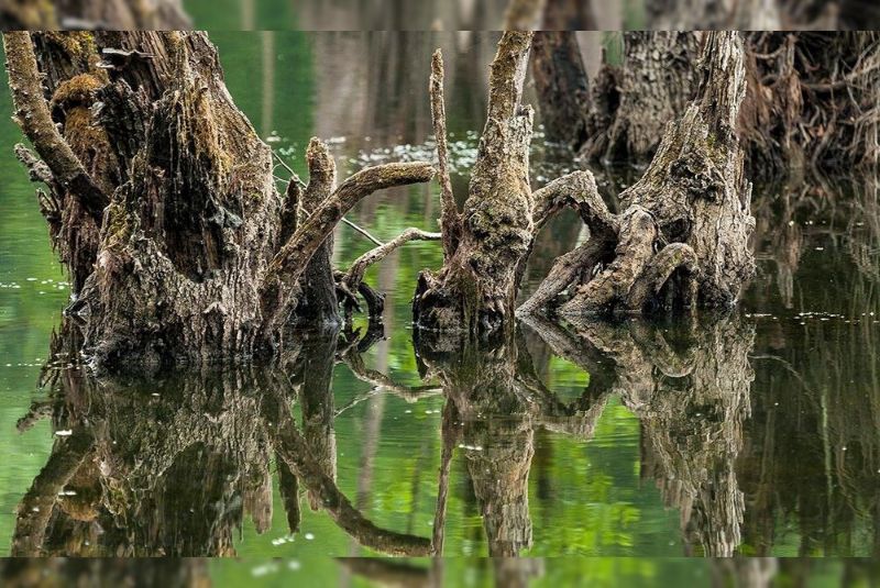 Ghost Lagoon (Mazandaran)