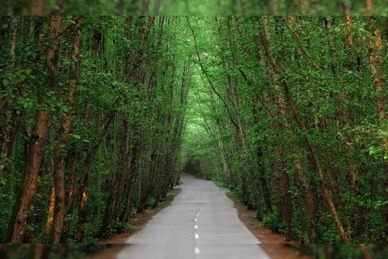 Weather on the Asalem-Khalkhal Road