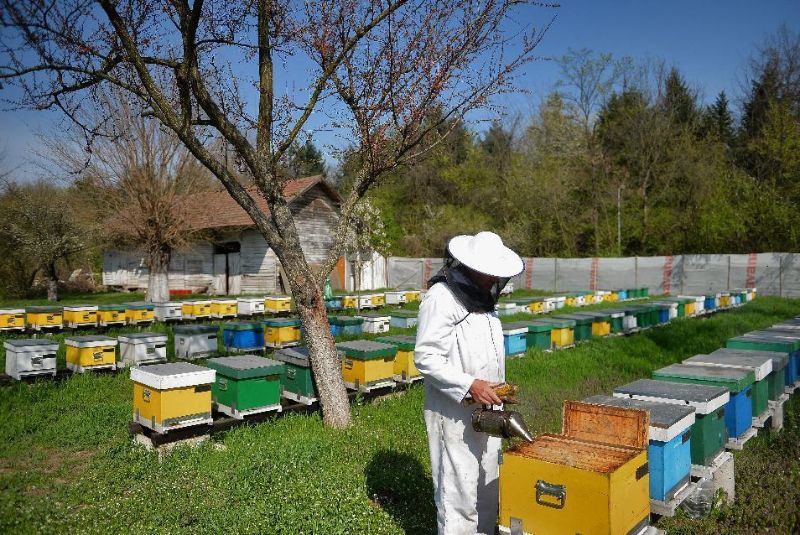 The Honey Festival in Khansar