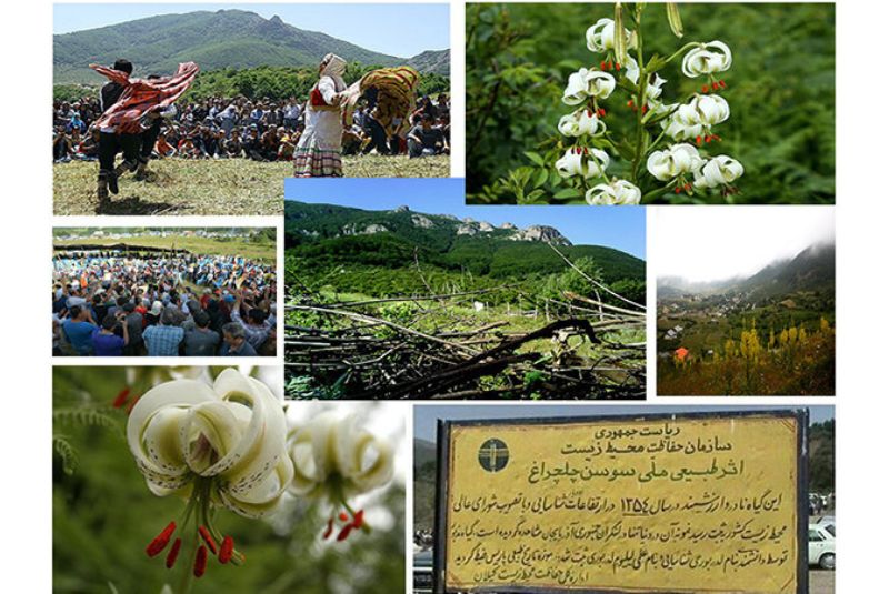 Sousan-e Chehel Cheraagh Festival in Damash