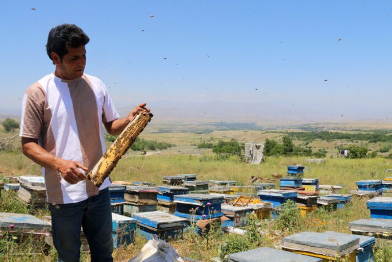 What to Expect at The Honey Festival in Khansar