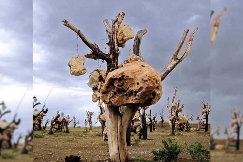 Symbolism of the Stones and Trees