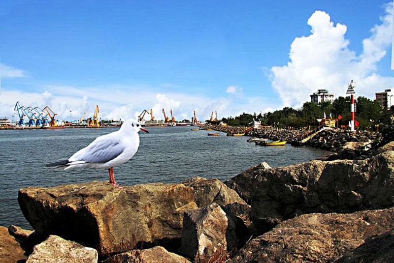 Best Time to Visit Anzali Lagoon