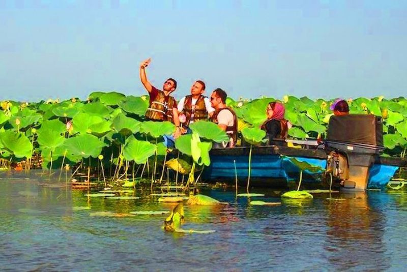 Things to See and Do at Anzali Lagoon