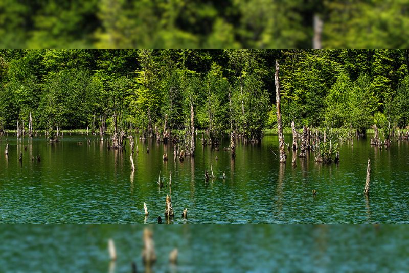 Activities for Tourists at the Ghost Lagoon