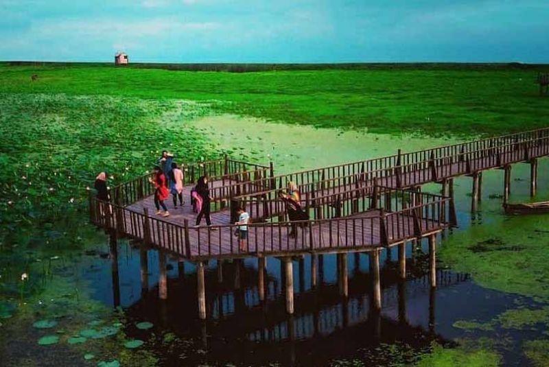 How to Access Anzali Lagoon