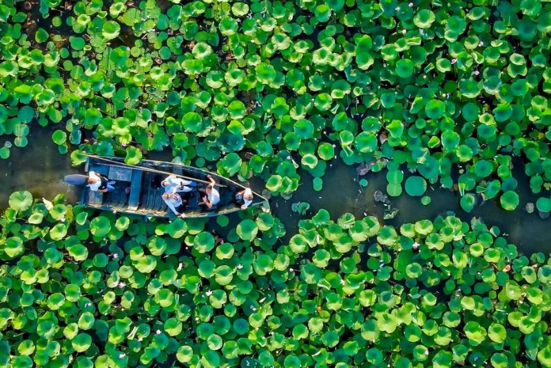 The Formation of Anzali Lagoon