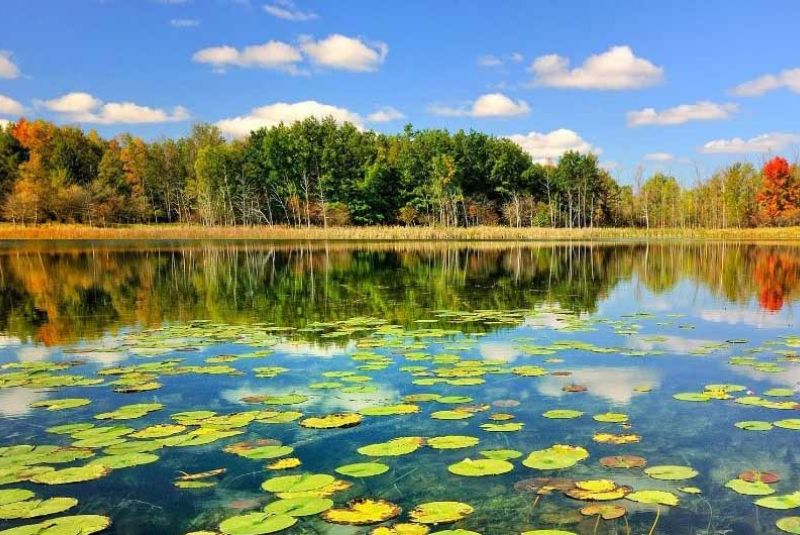 About Anzali Lagoon