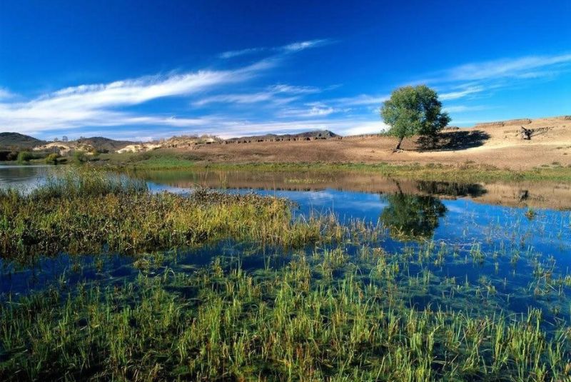 Parishan Lake Flora and Fauna