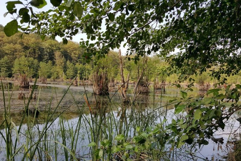 The Ghost Lagoon