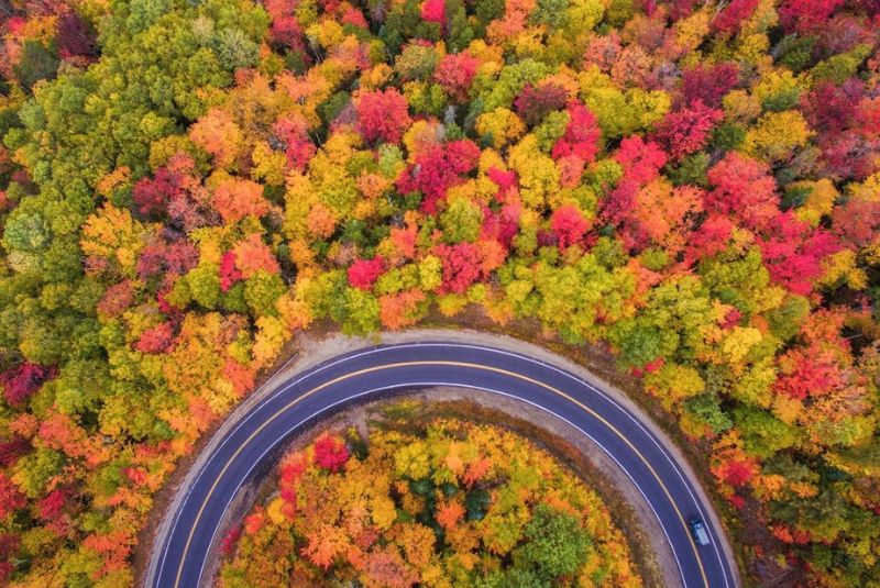 Autumn in Iran