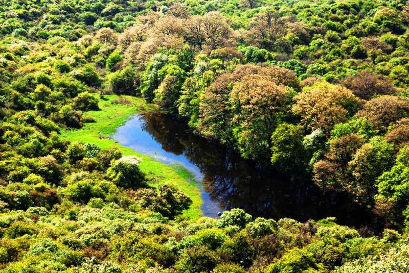 Golestan National Park