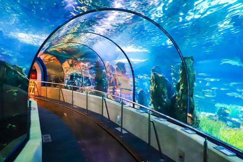 Different Sections of Kish Aquarium