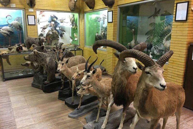 How to Get to the Iran Wildlife and Nature Museum