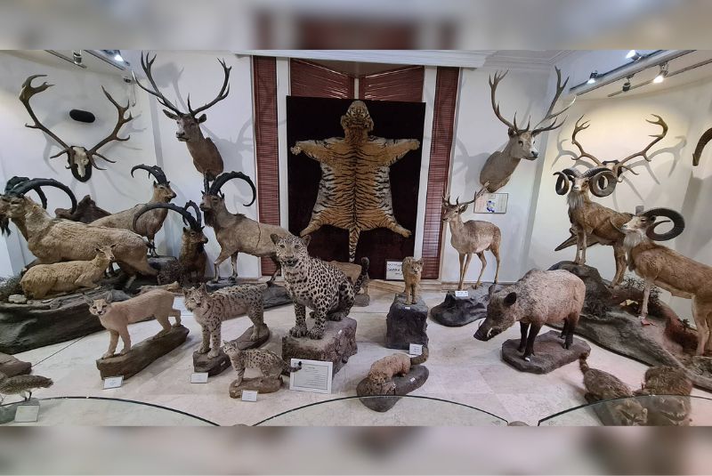 Recreation at the Darabad Museum of Natural History