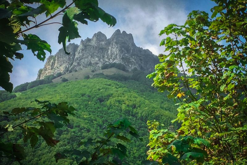 Natural Beauty of Fandoqloo Forest