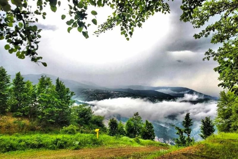 Formation of the Cloud Forest