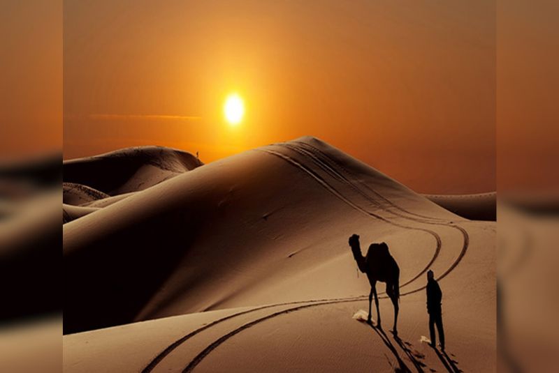 The Beauty of the Mesr Desert