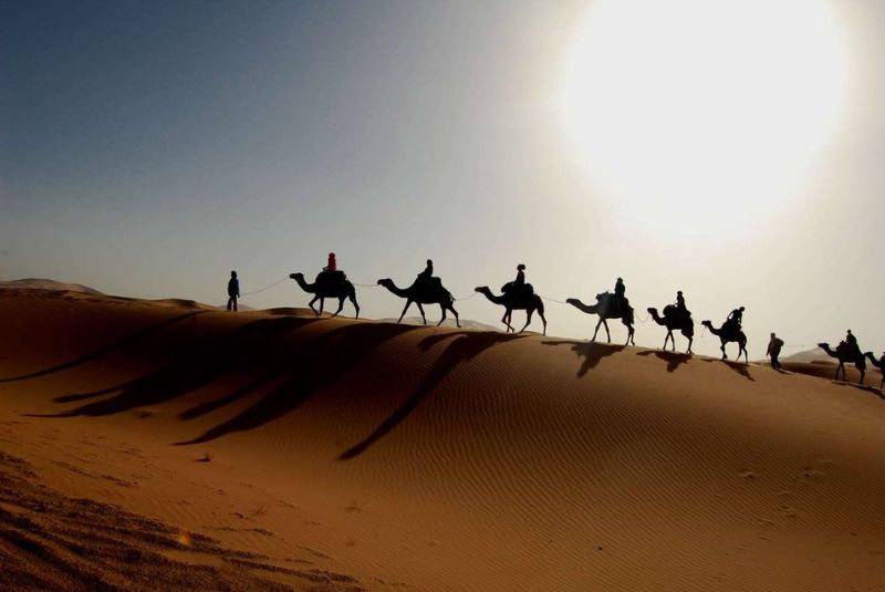 Camel Riding and Off-Roading