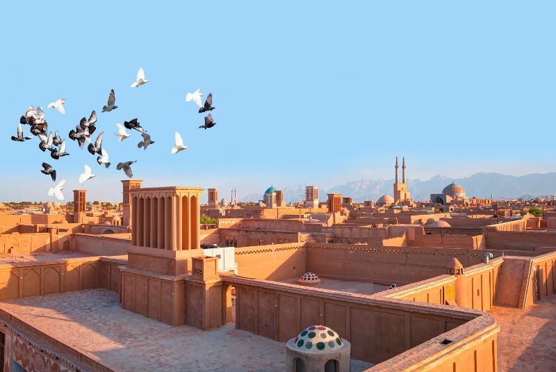 Mudbrick Rooftops of Yazd