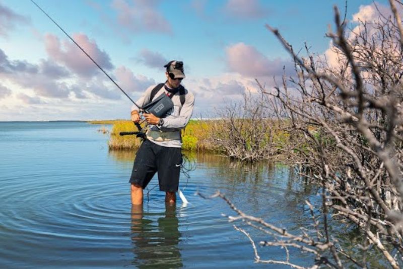 Harra Sea Forest Fishing