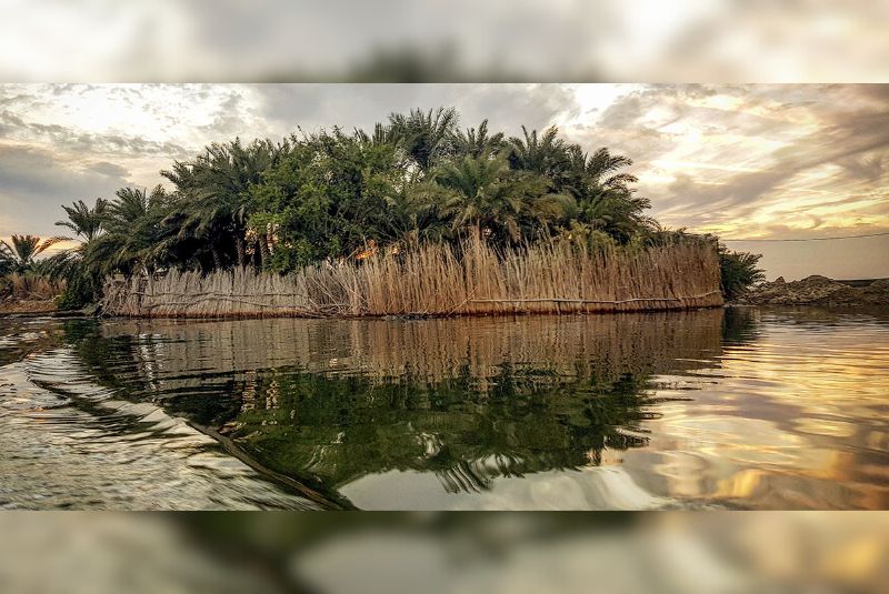 Shadegan Lagoon