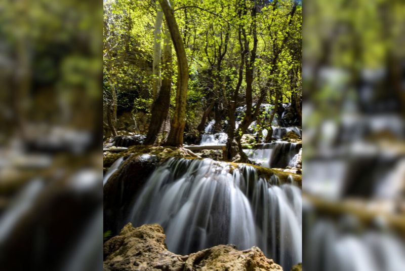 Imamzadeh Seyed Hossein Forest Park