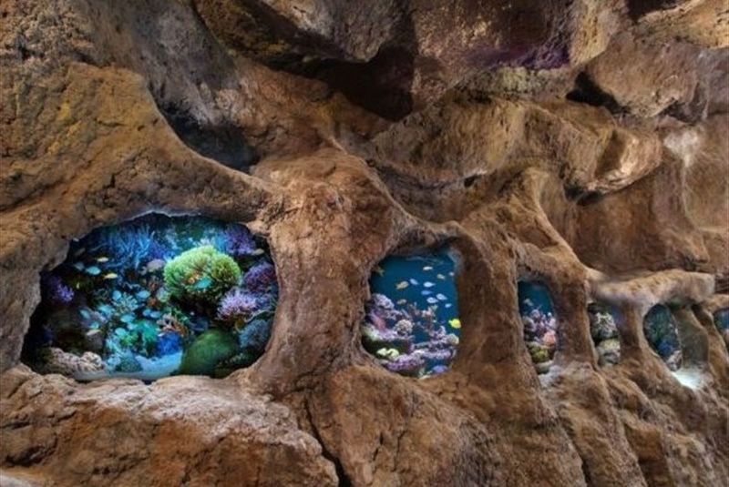 Aquarium Cave